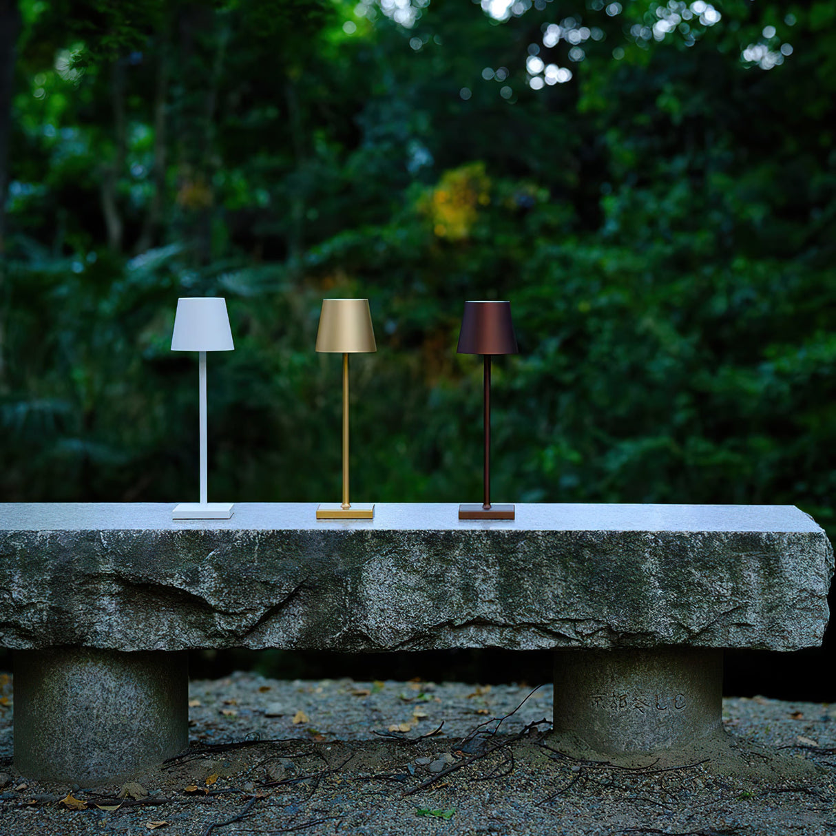 Cordless Accent Table Lamp