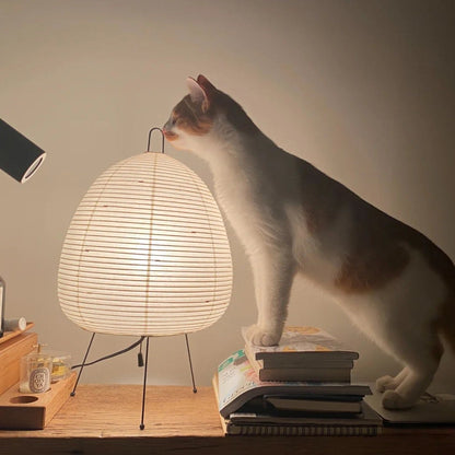 Hinora Sculptural Paper Lamp