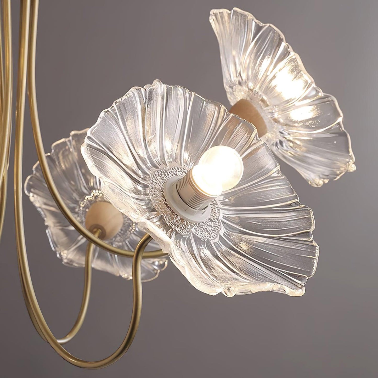 Aethera Pink Petal Chandelier