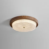 Minimal Flush Ceiling Light