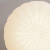 Shell Flush Ceiling Light