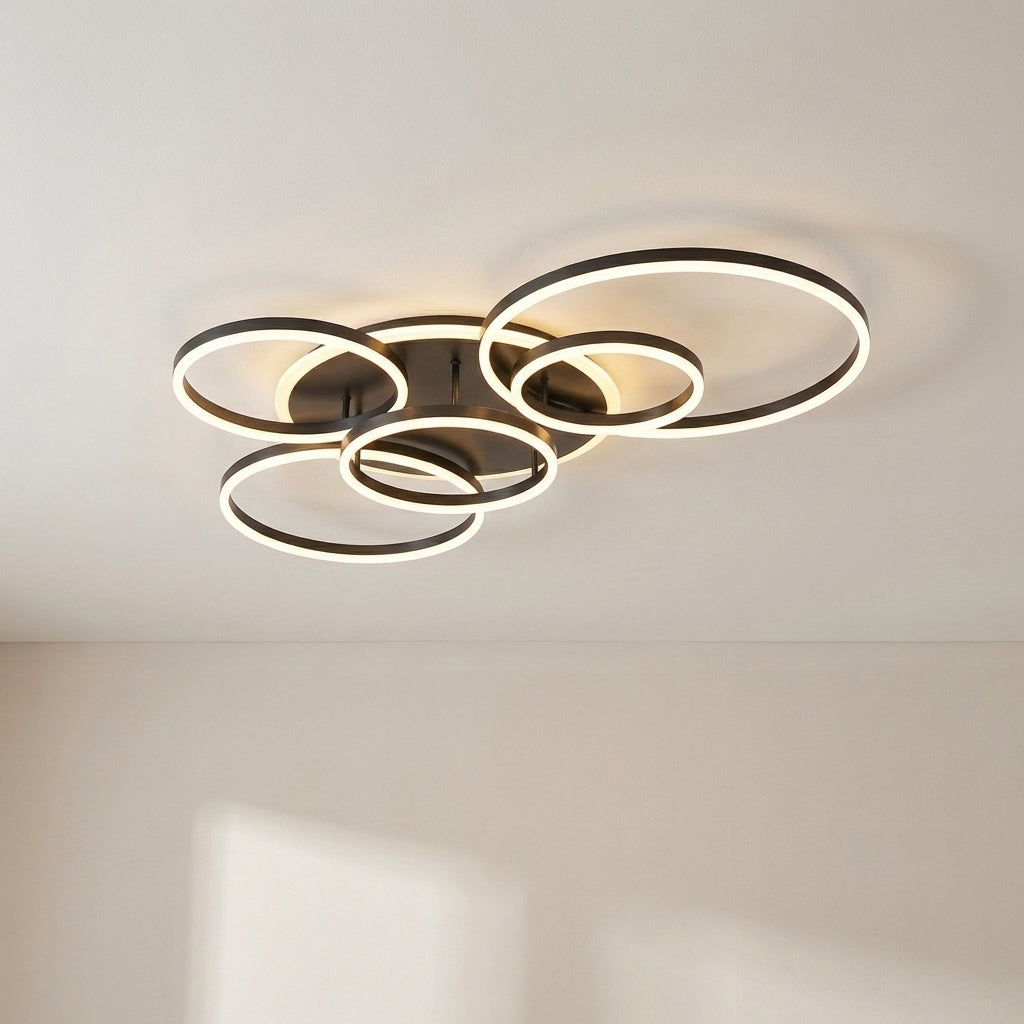 Aroha Halo Ring Ceiling Light