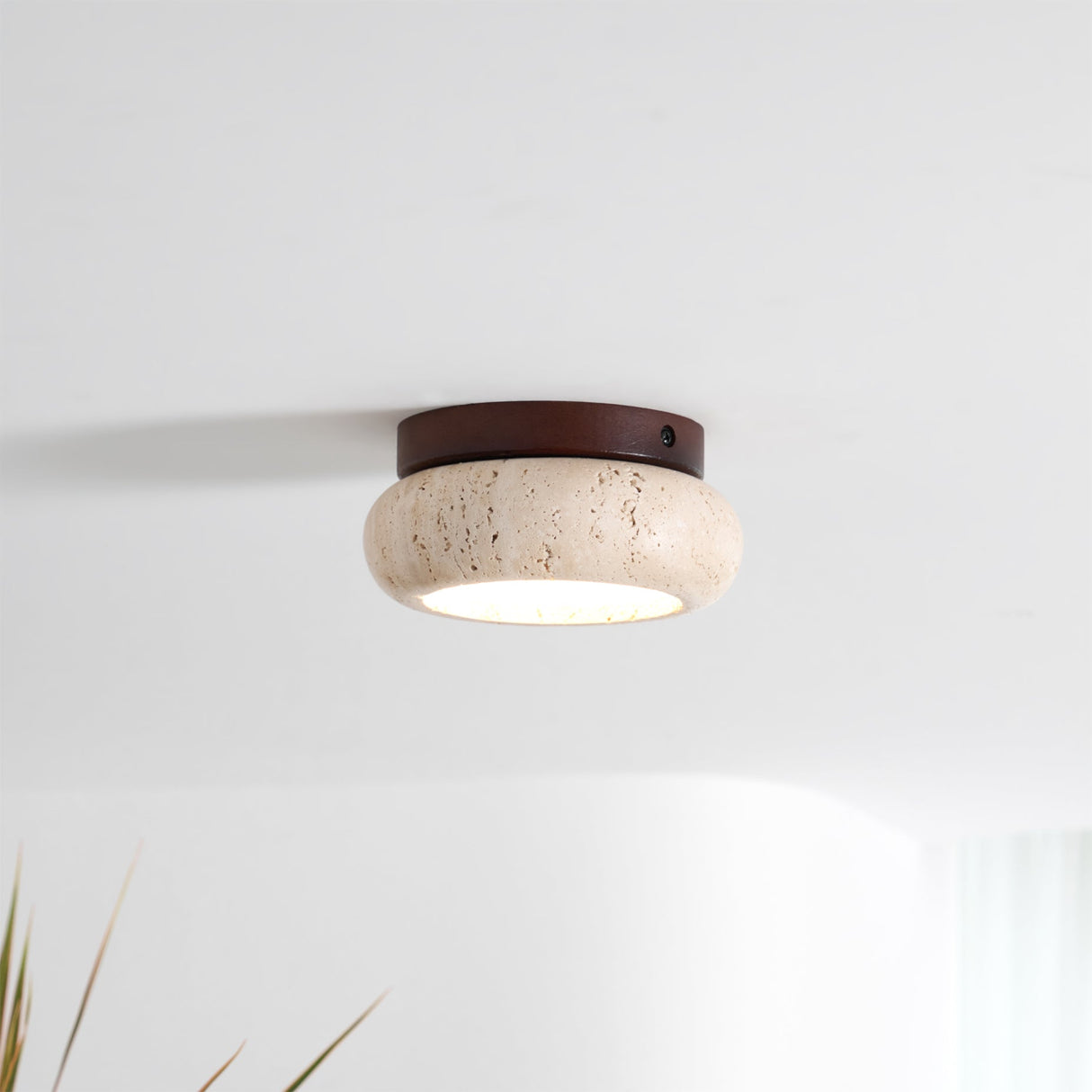 Minimalist Flush Ceiling Light