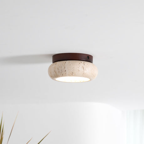 Minimalist Flush Ceiling Light