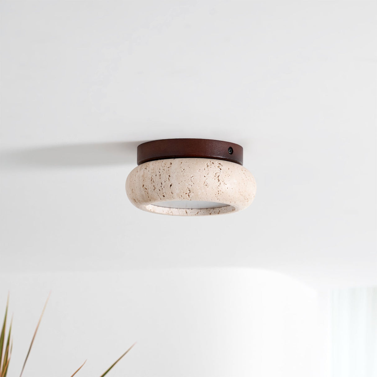 Minimalist Flush Ceiling Light