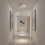 Minimalist Flush Ceiling Light