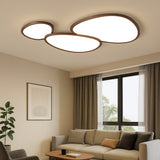 Organic Pebble Flush Light