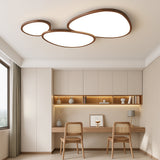 Organic Pebble Flush Light