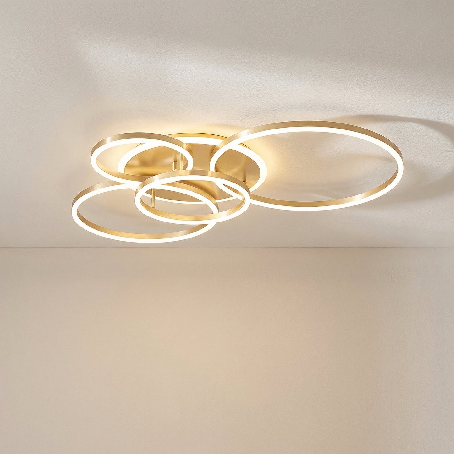 Aroha Halo Ring Ceiling Light