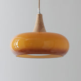 Veloria Wood Pendant Minimal Ceiling Light