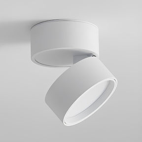 MiniAdjust – Adjustable LED Ceiling Light with Modern Design – Perfect for Accent Lighting 1
