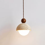 Organic Globe Pendant Light