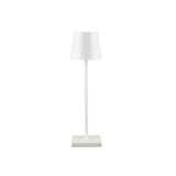 Cordless Accent Table Lamp