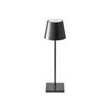 Cordless Accent Table Lamp
