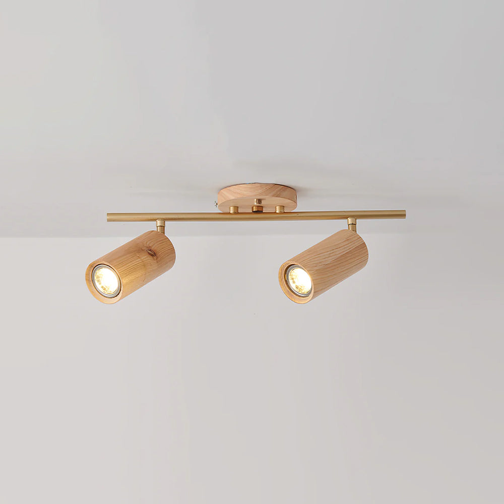 Hinora Adjustable Ceiling Track Light