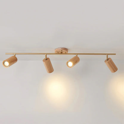 Hinora Adjustable Ceiling Track Light