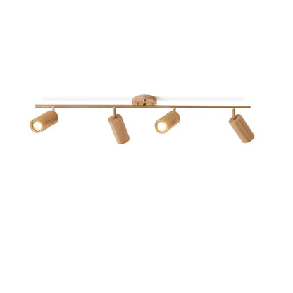 Hinora Adjustable Ceiling Track Light