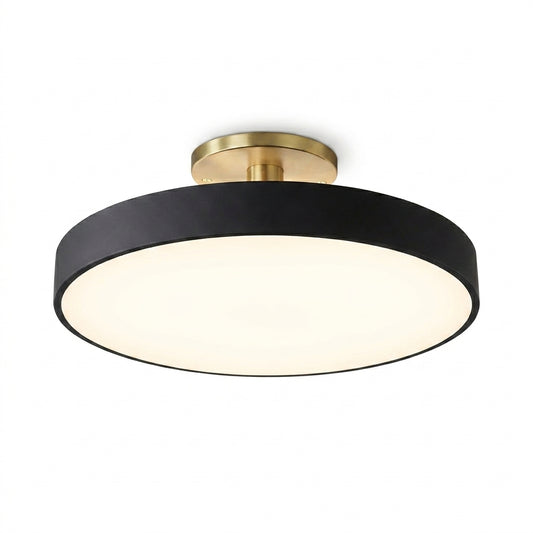 Orbis Ceiling Mount