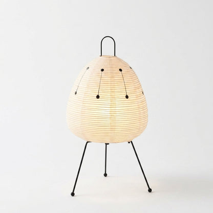 DualAura Modern Bedside Lamp