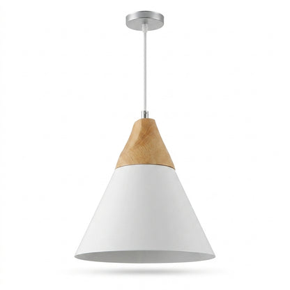Forenzo Modern Ceiling Light
