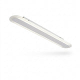 Modern Oval LED Flush Mount