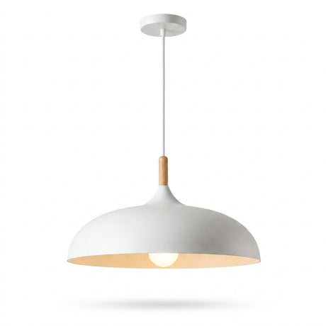 Dome Pendant Light Wood Accent