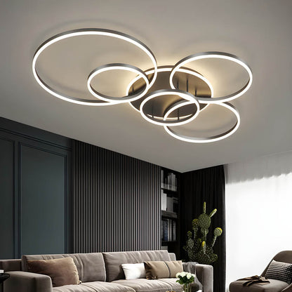 Aroha Halo Ring Ceiling Light