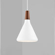 Arren Modern Pendant Lamp - Conical Design with Adjustable Suspension for Stylish Ambiance 1