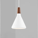 Arren Modern Pendant Lamp - Conical Design with Adjustable Suspension for Stylish Ambiance 1